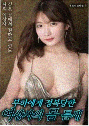 双神战封面